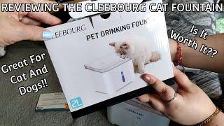 We Review The Cleebourg Cat Water Fountain l Perfect For Cats And Dogs l Another Amazon Product