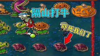 PVZ自制关卡：粉丝说“特别简单”，打到最后才发现被坑了！【梗梗游戏解说】