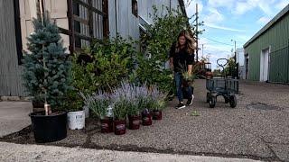 Plant Shopping for the Dream Stream!  // Garden Answer