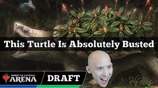 This Turtle Is Absolutely Busted | Bloomburrow Draft | MTG Arena