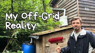 Daily Routines At My Off-Grid Tiny House In The Forest