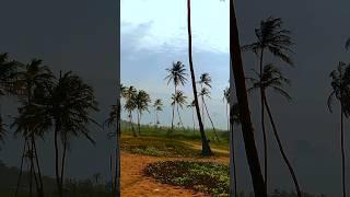 Nigeria has beautiful landscape