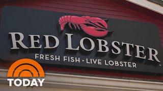 Red Lobster CEO talks comeback, new menu, endless shrimp