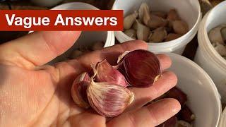 Vague Answers: Learning from Inconclusive Garlic Trials