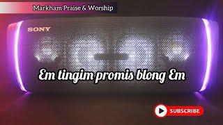 Emi tingim PROMISE blong em LYRICS | PNG Gospel Music 2022| MVR Videos