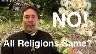 ALL RELIGIONS THE SAME?!? - Fr. Mark Goring, CC