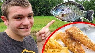 Bluegill Catch N' Cook!