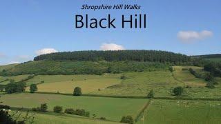 Black Hill  - Shropshire Hill Walks  13/130 Highest Shropshire Hills AONB