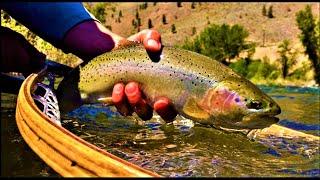 Fly Fishing Montana's Upper Clark Fork River for Cutthroat Trout