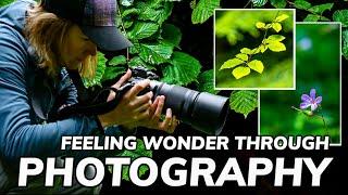 Developing A Sense Of Wonder | Nature Photography In An Ancient Woodland 