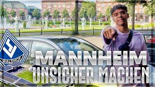 MANNHEIM UNSICHER MACHEN  | Alltag mit Willy  | Niklas Wilson