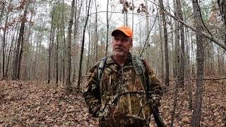 Wild Pork for Supper and a Spike Whoops my truck!! Alabama Public land Hunting update!