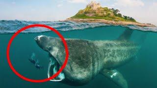 Top 10 Most Dangerous Waters In the World