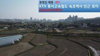 동서고속철도역사 KTX 속초역 인근 토지(맹지)