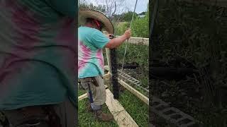 stretching living fence