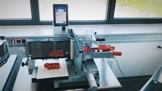 Peperoni slicer / every pizza shop needs this machine / Slicer X3. by SAM KUCHLER