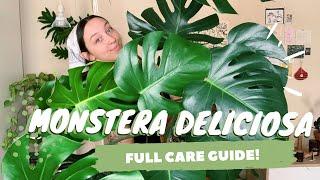 MONSTERA DELICIOSA CARE + PROPAGATION | indoor swiss cheese plant care