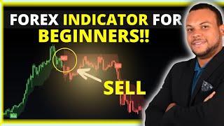 Forex Indicators for Beginners (UPDATED)