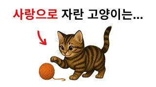 사랑받고 자란 고양이만이 보이는 10가지 특별한 행동