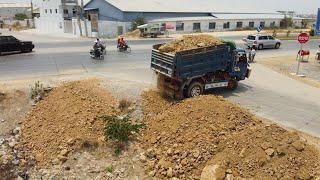 Wonderful Activity Project! Filling Land Use Dump Trucks And MITSUBISHI Bulldozer Fill flooded soil