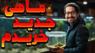 این بار چه ماهی عجیبی خریدم که همه رو متعجب کرده