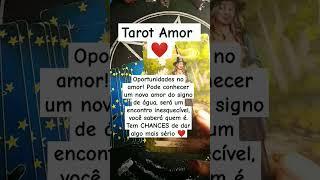 tarot amoroso, Consultas no 51998664991#tarot #tarotintuitivo #taróloga #tarotinterativo