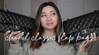 CHANEL CLASSIC FLAP: M/L VS. JUMBO | ALYSSA LENORE