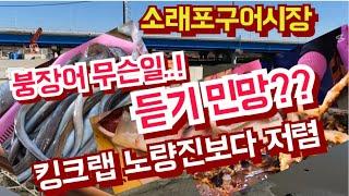 듣기민망하네 사실이면 화가 나죠?  킹크랩 노량진보다 저렴,  연말 4인가족  방어, 킹크랩은 얼마?