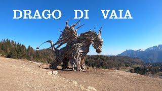 Drago di Vaia - Magrè - Lavarone - Dog trekking