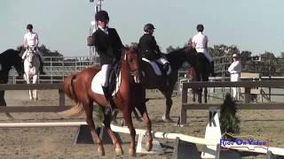 387D Cindy Feng on Fabio Beginner Novice Championships Dressage Woodside October 2014