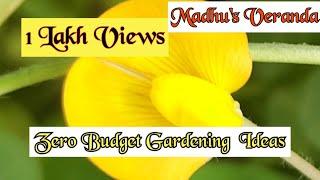 #Gardening # Madhu #Zerobudgetgardening