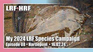 Episode 08: My 2024 LRF Species Hunt - Hartlepool