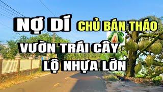 Nợ dí, chú ba vươn, buộc phải bán tháo, vườn sầu riêng, bơ, tâm huyết, xuyên mộc, Vũng Tàu