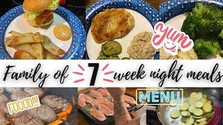 Family of 7 week night meals | Simple & easy, nothing FANCY