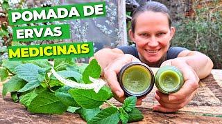 How to make Natural Ointment from Fresh or Dried Medicinal Plants Garden in the Backyard 