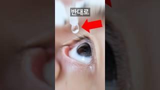 한국인 99%가 눈에 잘못넣고 있습니다ㄷㄷ