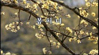 봄처녀 -이은상 시, 홍난파 곡 -김인혜 노래 -한국가곡100선