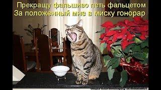 Как научиться делать женский голос за 5 минут! Личный опыт