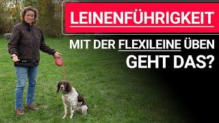  Leinenführigkeit mit der Flexileine üben – geht das? ️ Praxisvideo ️