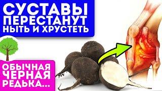 Без боли хожу по лестнице! Колени больше не болят после смеси редьки и...