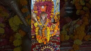 SHREE RAM STUTI #shree #ram #stuti #ayodhya #raja #shreeram #shreeramji #full #stuti #like #comments