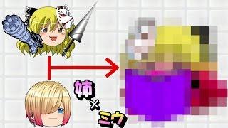 【ゆっくり茶番劇】霊夢と魔理沙の子供！？それとも合体！？ 二人のそっくりなゆっくりキャラ登場!!part13【とらいあんぐる】