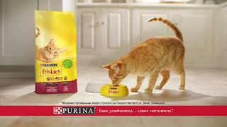 Nestlé PURINA Friskies®