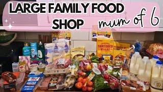 LARGE UK GROCERY FOOD HAUL & LARGE FAMILY MEAL PLAN | JANUARY 2025