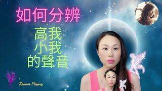 36）如何分辨高我和小我的聲音 | 高我是靈魂藍圖的導航 | recognize the voice of ego & higher-self