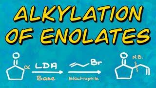 Alkylation of Enolates