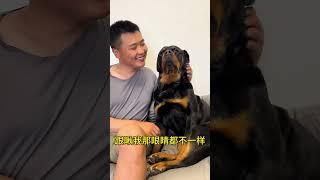 我凭什么啊 #拉登与阿亮的日常生活