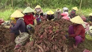 DIỆN MẠO NÔNG THÔN MỚI  HUYỆN GIỒNG RIỀNG, TỈNH KIÊN GIANG