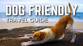 The 10 BEST Dog Friendly Destinations for Your Next Adventure