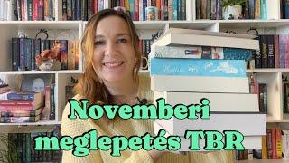 Meglepetés novemberi TBR | Mit tervezek olvasni novemberben (2024)